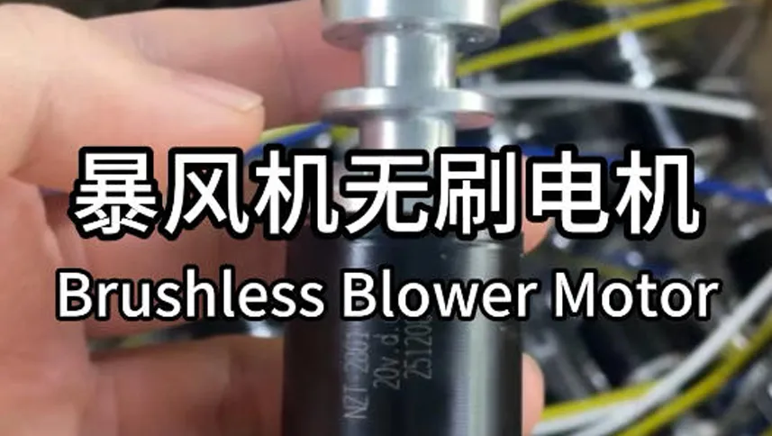 Brushless Blower Motor