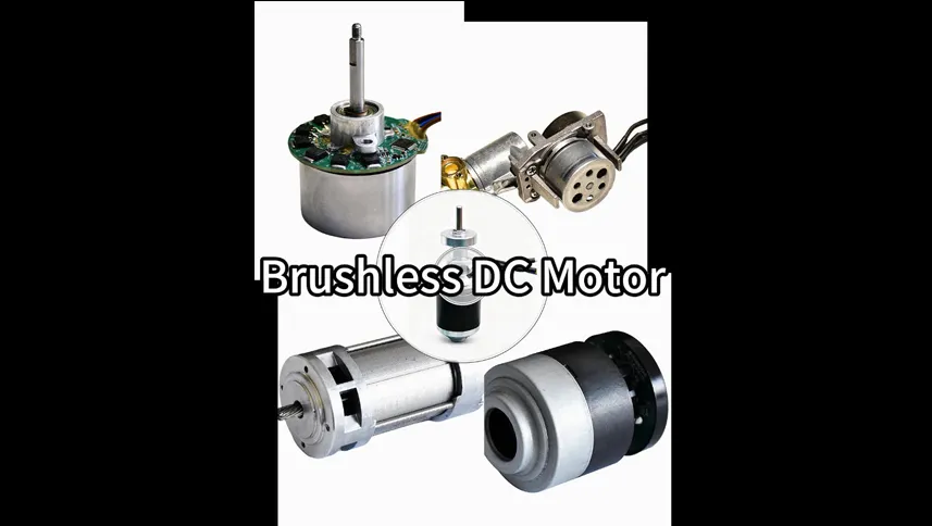 Brushless DC Motor