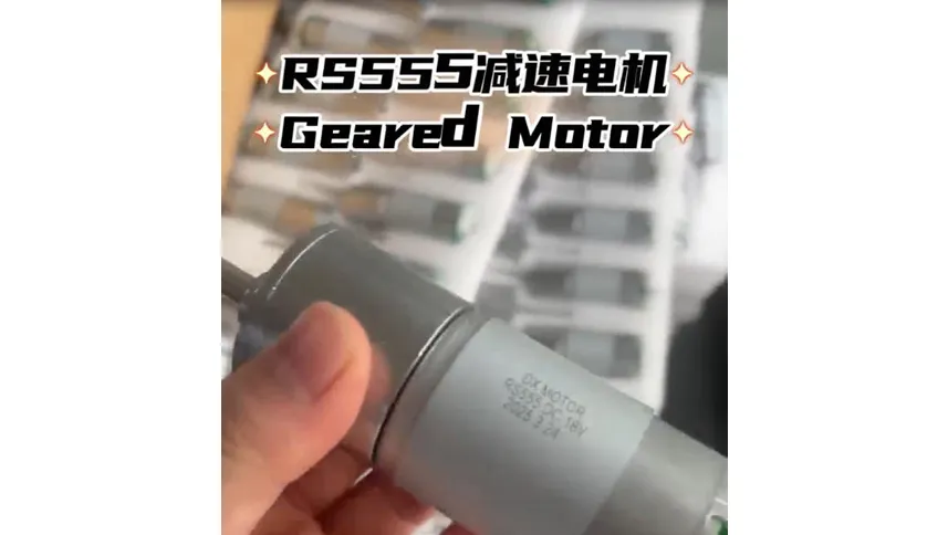 RS555 Geared Motor