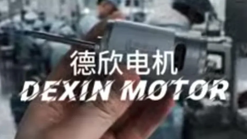 DEXIN MOTOR