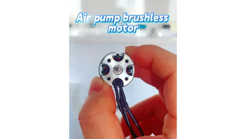 Air pump brushless motor